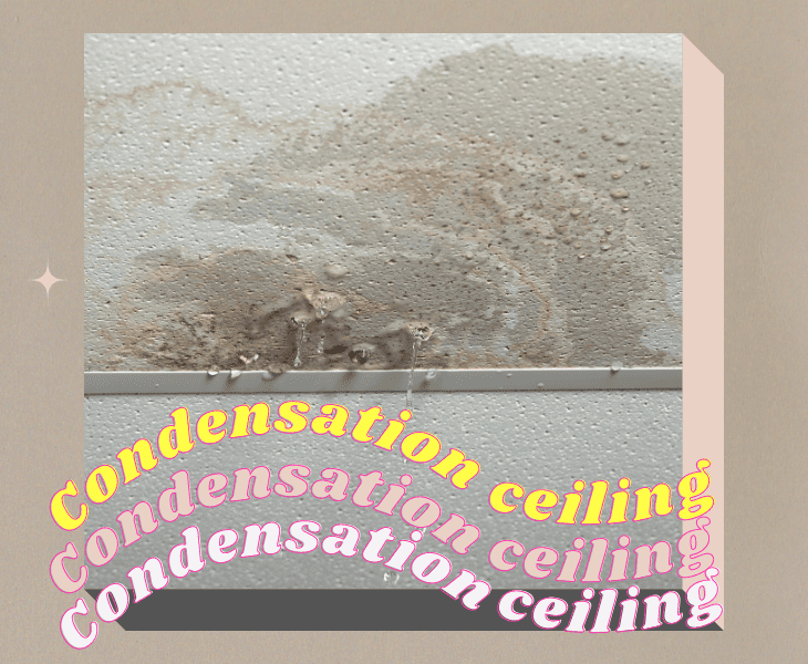 stained ceiling condensation