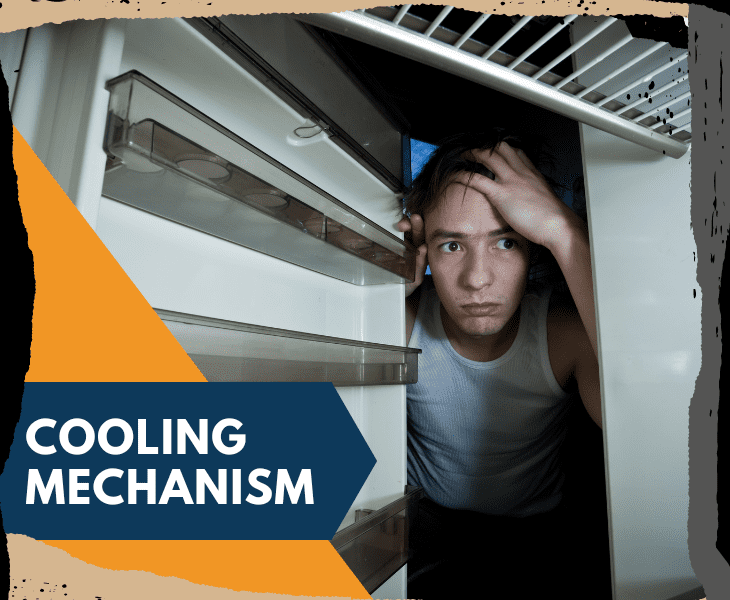 cooling mechanism fridge