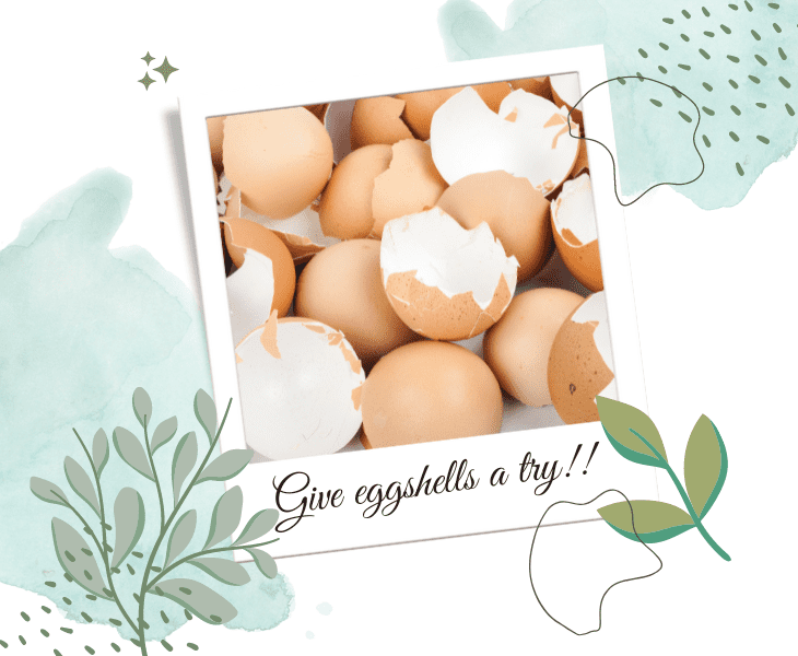 make use of eggshells