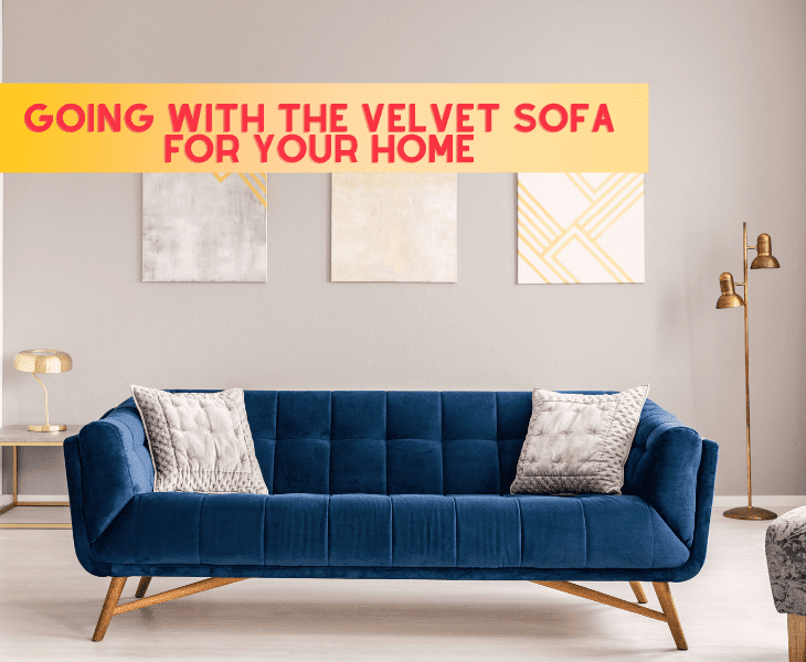 go with the velvet sofa