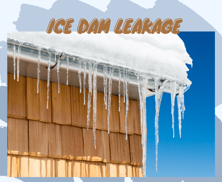 leakage of ice dam