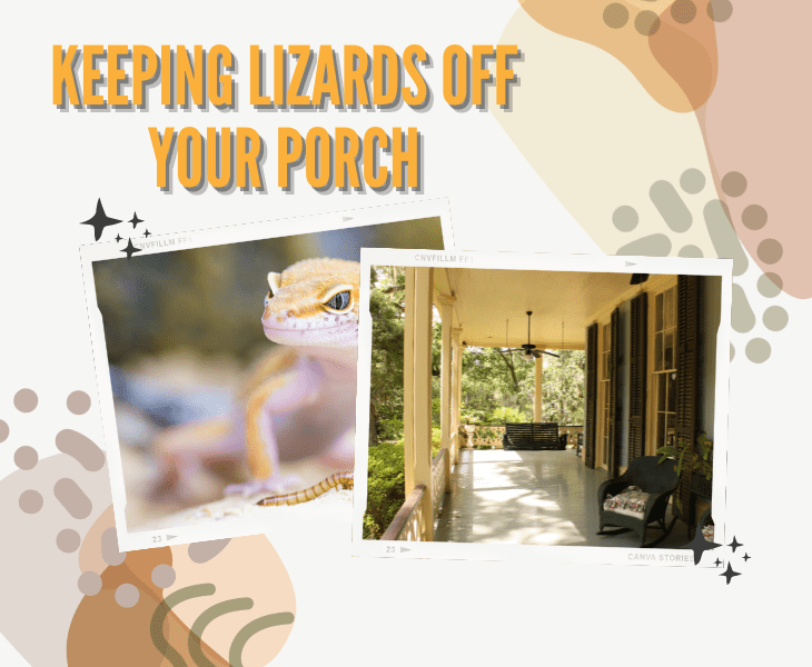 porch without lizards