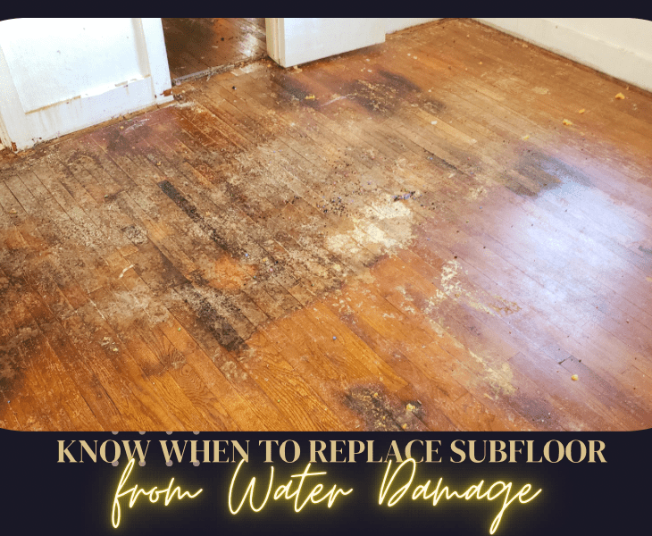 when to replace subfloor from water damage