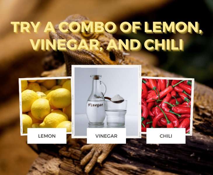 lemon vinegar and chili