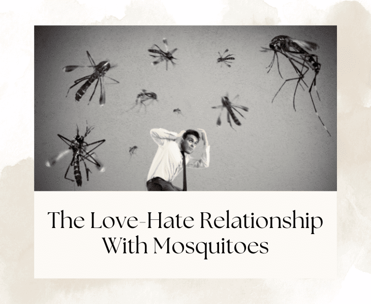 mosquito love hate relationship