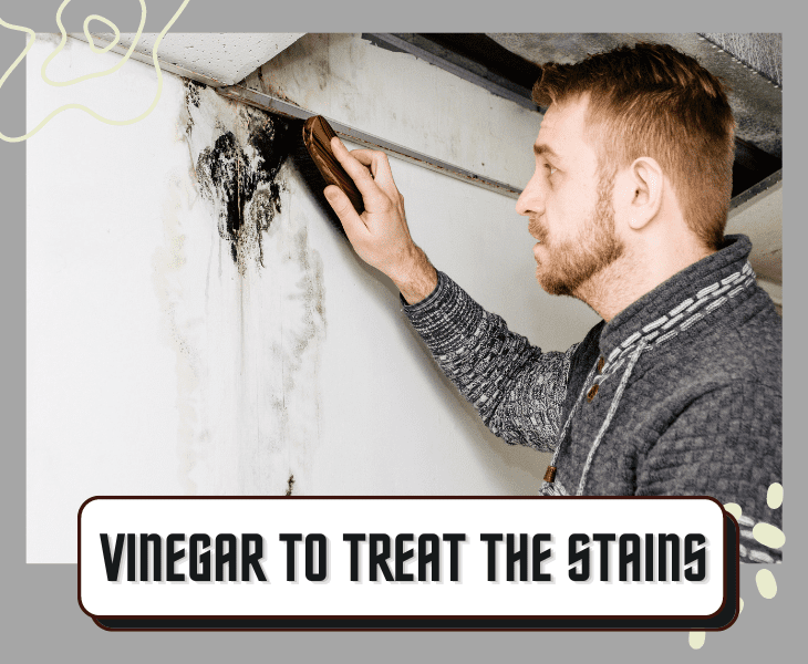 treating stains vinegar