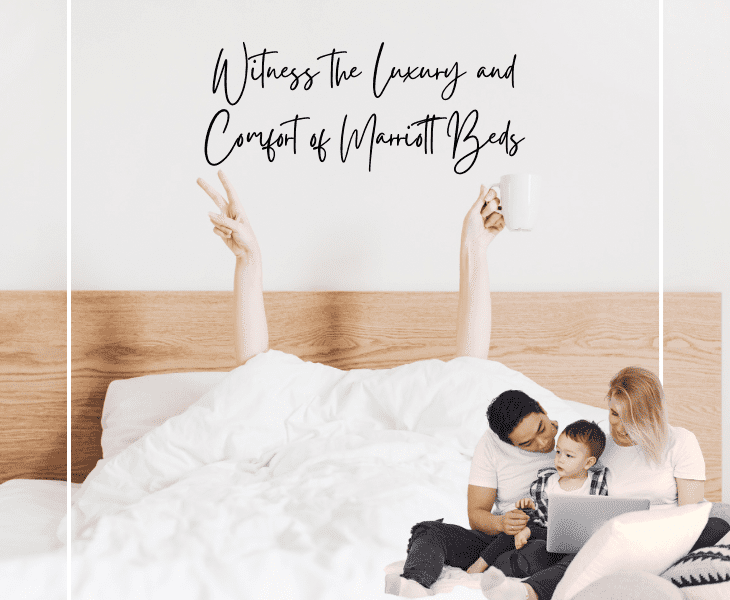 luxury and comfort