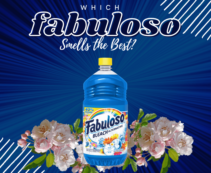 the best fabuloso

