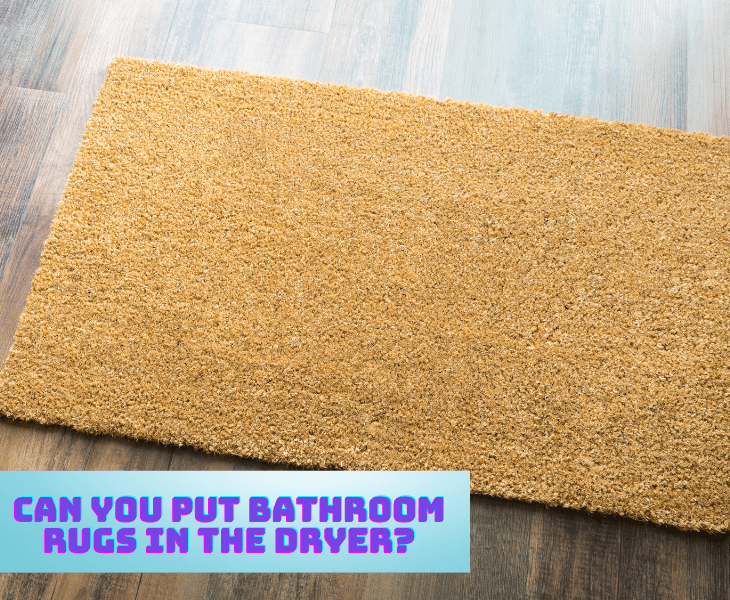 can you put bathroom rugs in the dryer