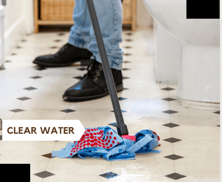 clear the water