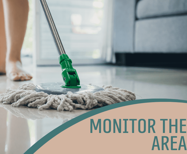 rinse and monitor area