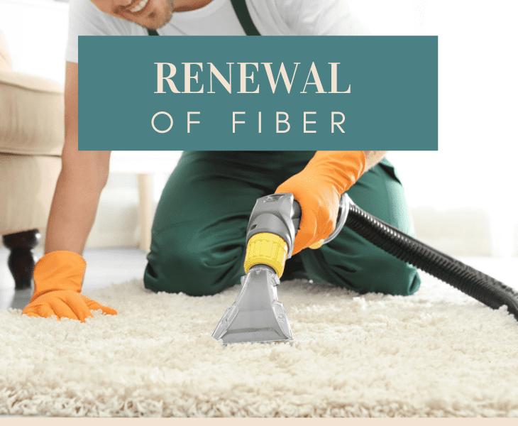 the renewal of fibers