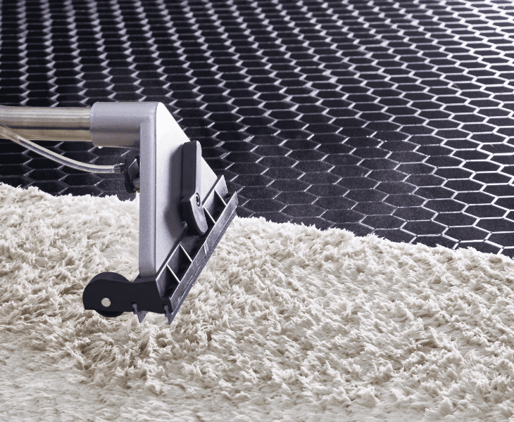 an importance of steam cleaning