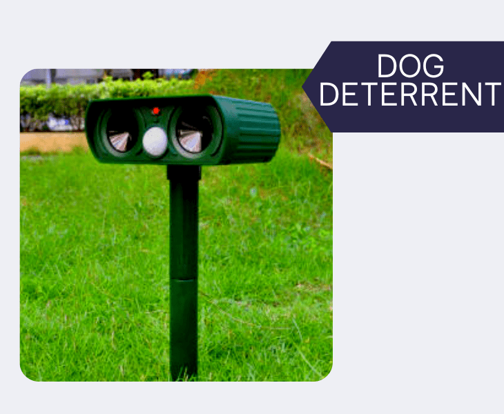 use dog deterrent