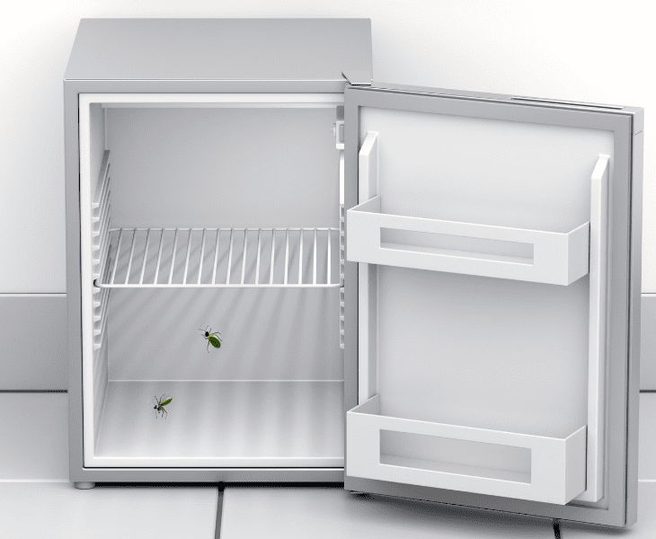 bugs inside of refrigerator