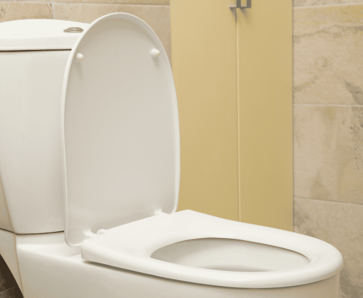 standard elongated toilet seat 