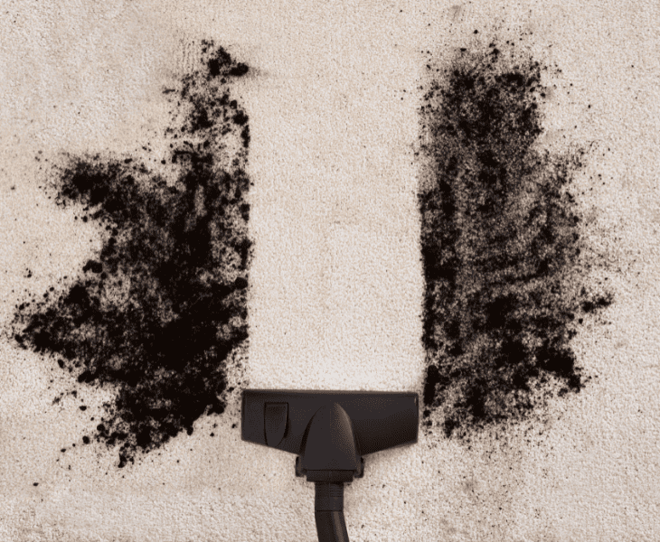 vacuuming the dirt from the carpet