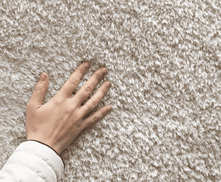 best condition carpet