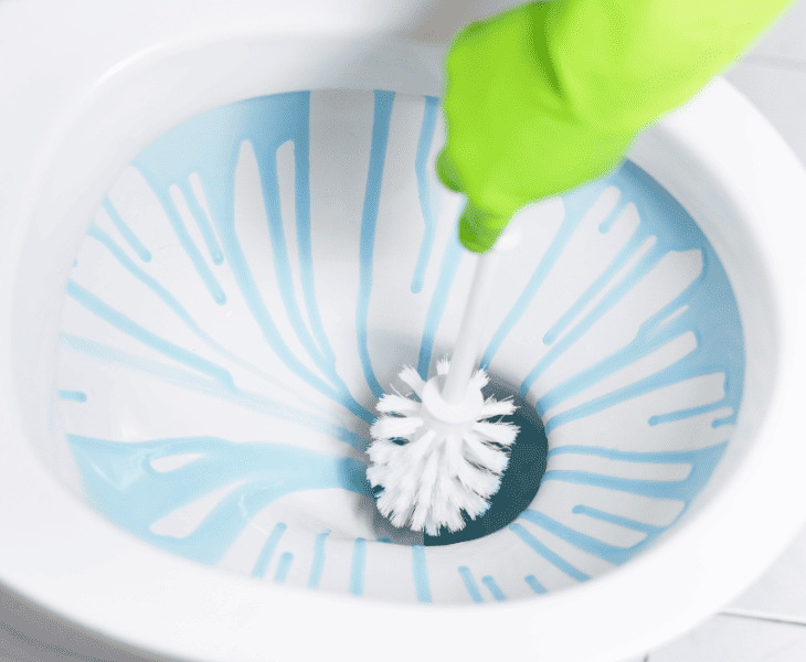 cleaning the toilet bowl