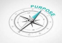 purpose purpose
