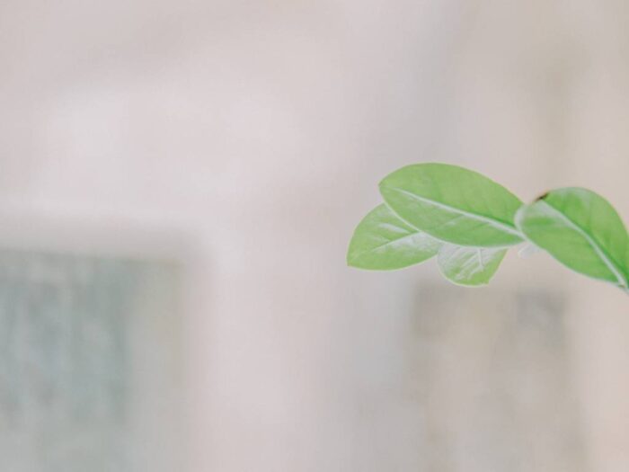 Commercial Air Freshener