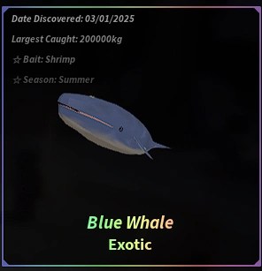 Baleine Bleue Fisch