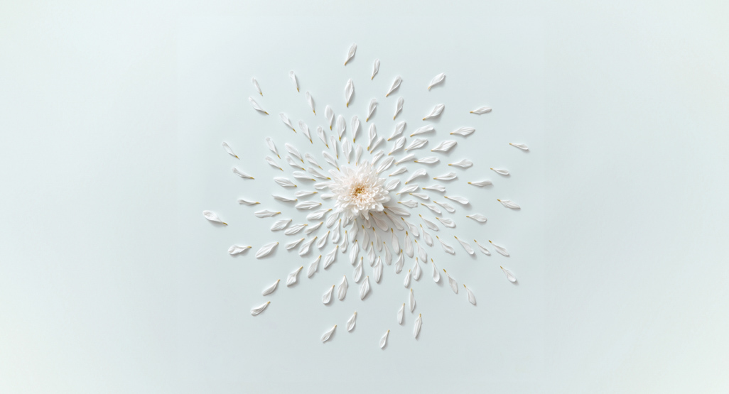 Devriez vous envisager de collecter le colostrum avant la naissance Devriez-vous envisager de collecter le colostrum avant la naissance ?