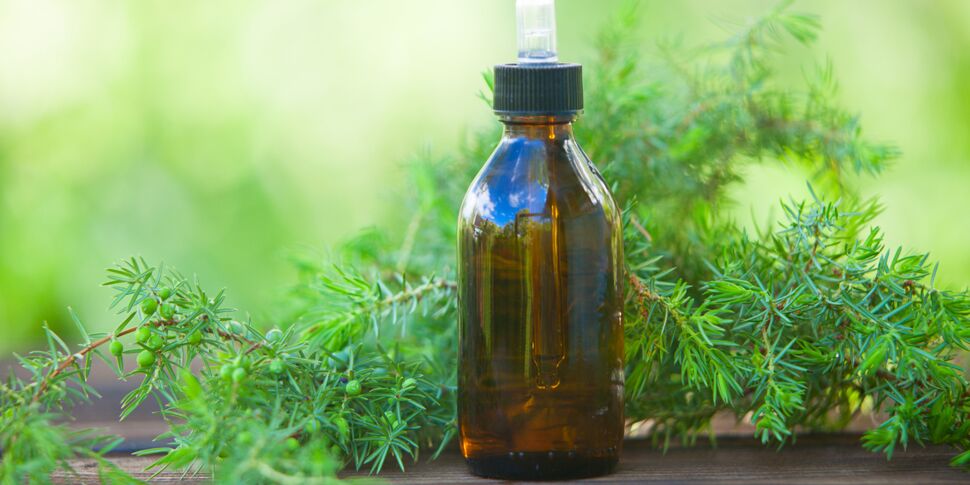 Huile de cade : Danger et Précautions à connaître 2 huile cade danger