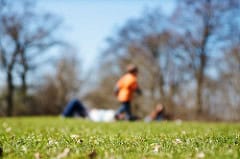 Freshen up your yard for the spring