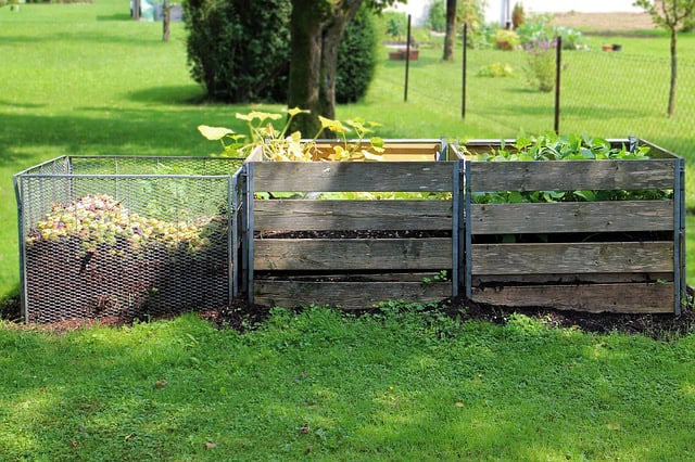 Composting bins in the backyard