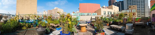 This beautiful on-site restaurant garden is great for business and even better for the environment!