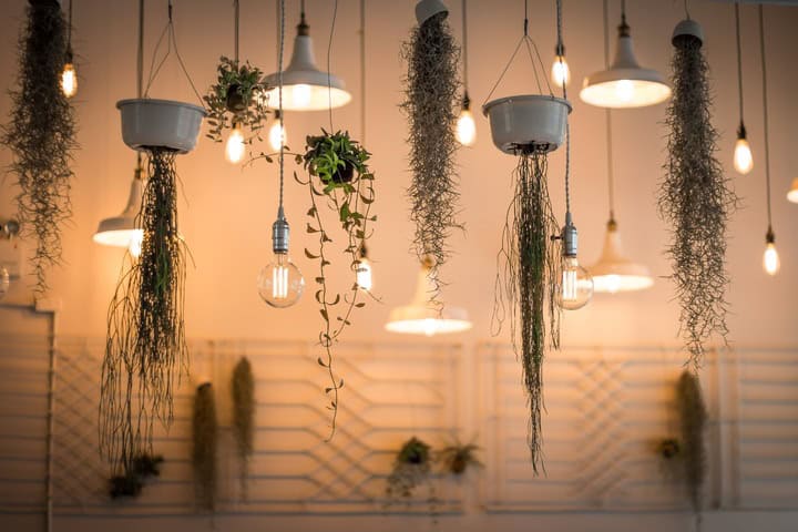 Hanging plants look great among pendant lights in a white dining room.