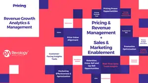 Revenue growth analytics and management tools for pricing and sales optimization.