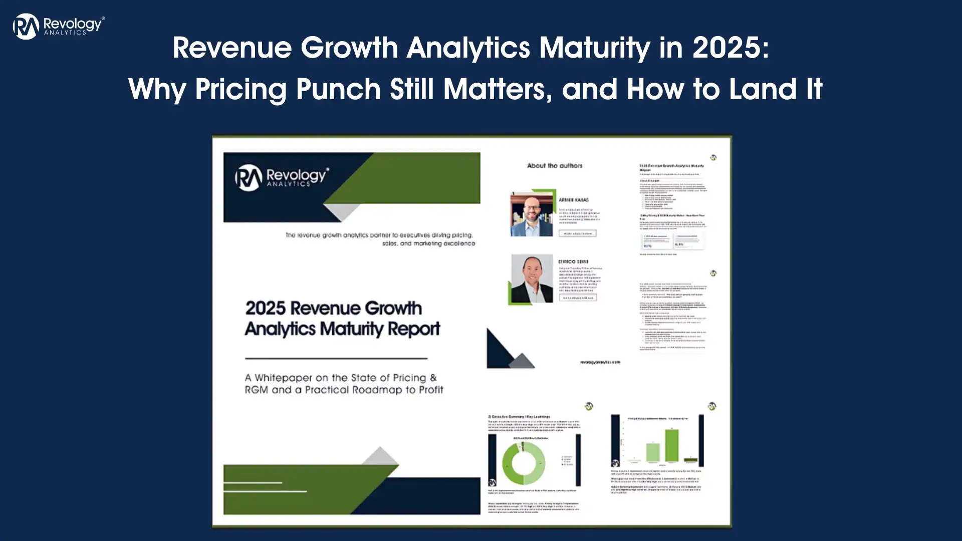 Analytics report on revenue growth and pricing strategies.