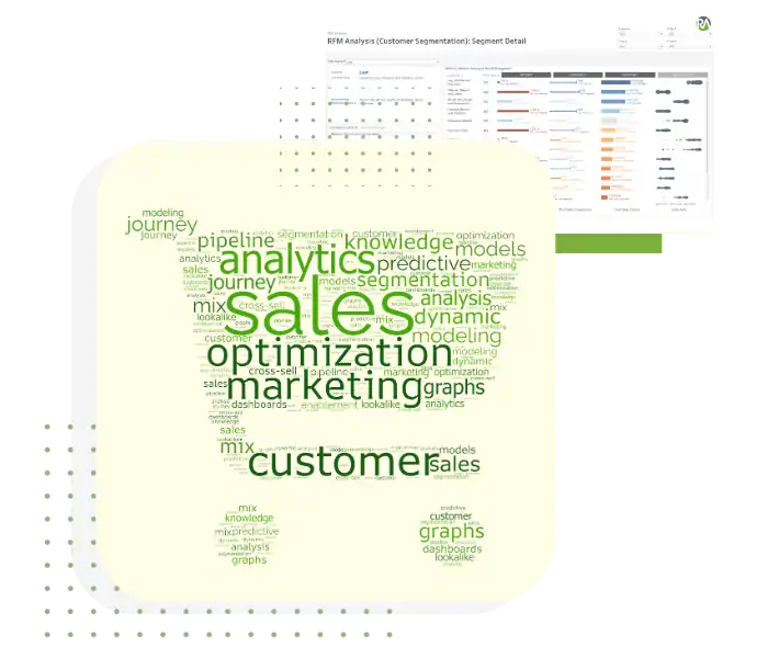 Analytics for Sales & Marketing Optimization.