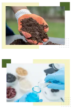 Soil testing process with hands holding soil sample for agricultural analysis.