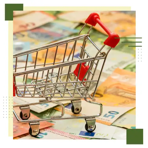 Shopping cart with euro banknotes and coins, symbolizing consumer spending and financial insights.