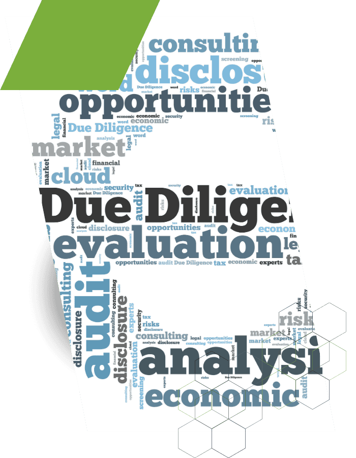 Professional financial due diligence analysis for investor decision-making.