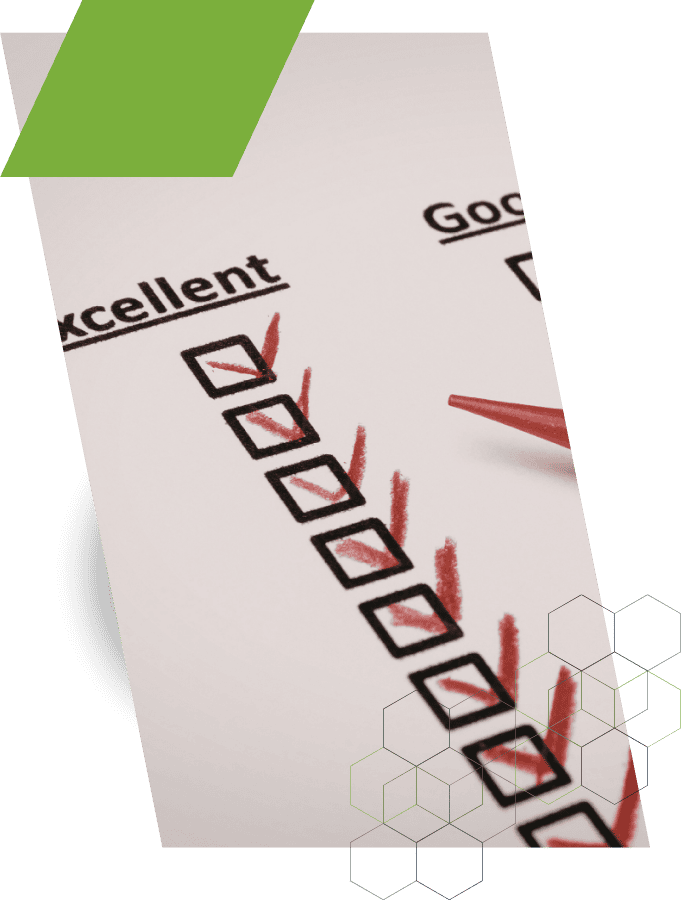 RGM capabilities assessment checklist with marked excellent ratings.