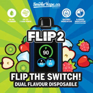 Flip 2 Disposable Vape