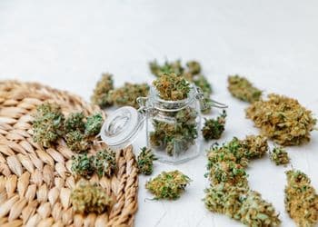Cannabis Strains and Effect Profiles