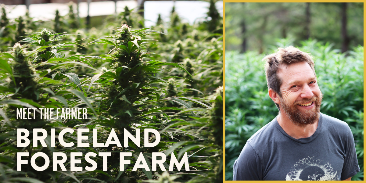 Meet the Farmer Briceland Forest Farm
