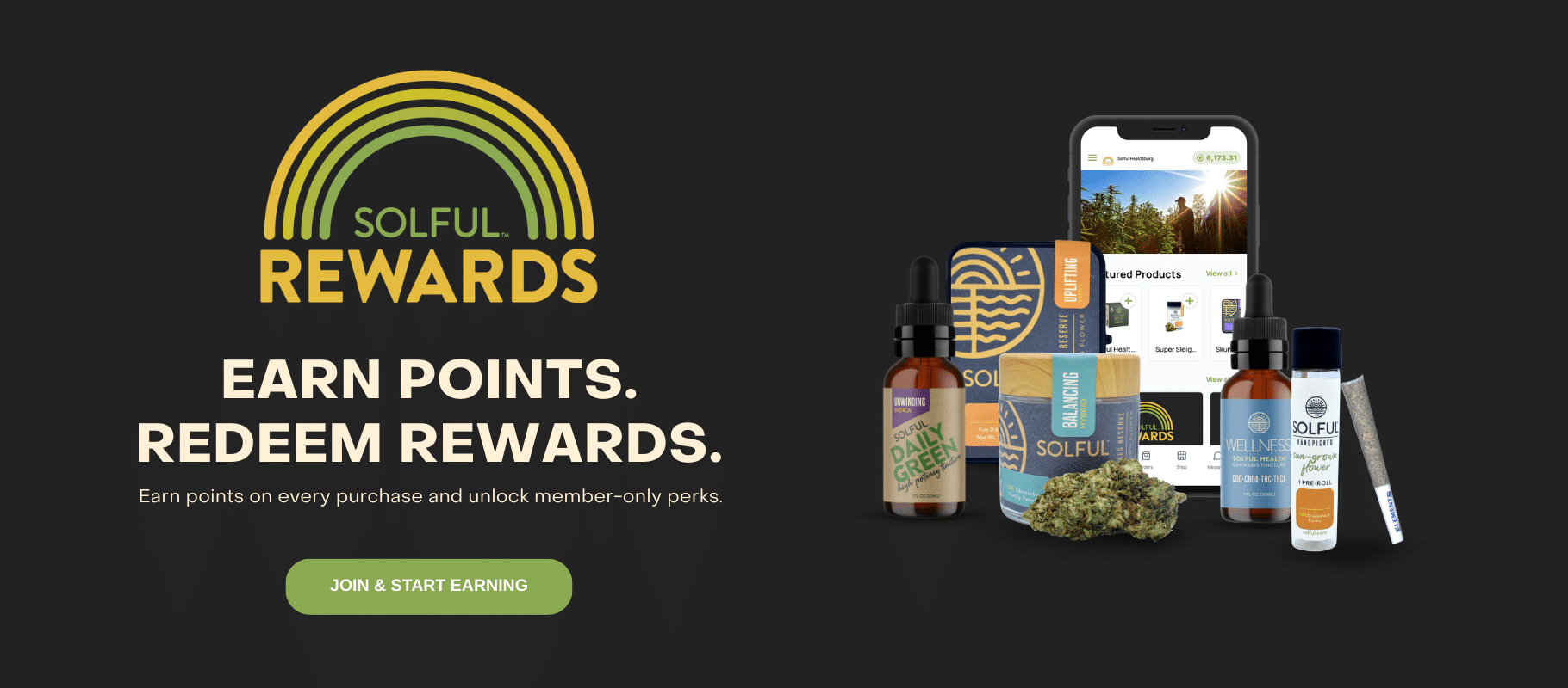 desktop website carousel – solful rewards (1820×800)