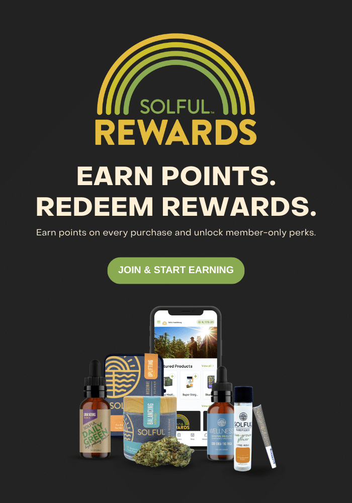 mobile website carousel – solful rewards (700x1000px)