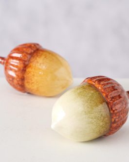 בלוטים TERRA COTTA