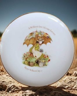 הולי הובי צלחת ליום האם