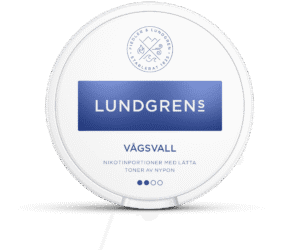 Lundgrens Vagsvall