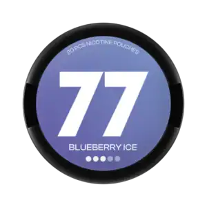77 Glace aux myrtilles moyenne