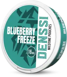 DENSSI Heidelbeere Freeze 16mg