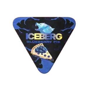 Borůvkový koláč ICEBERG